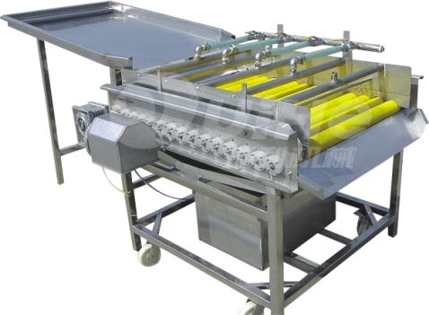 諸城瑞和食品機械 高效紅薯清洗設備引領行業(yè)標準